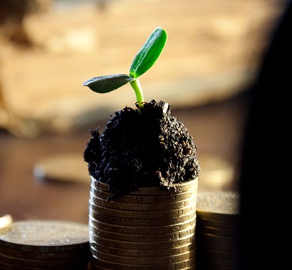 ���Ź����217��(�й���)����