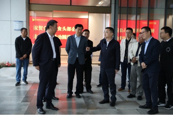 ���Ź����217��(�й���)����